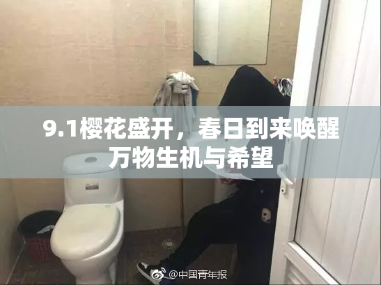 9.1樱花盛开，春日到来唤醒万物生机与希望