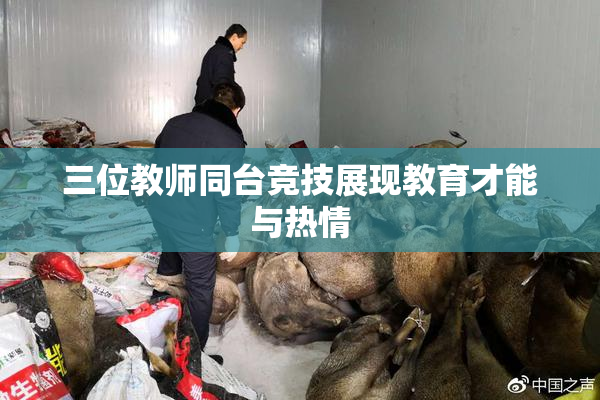 三位教师同台竞技展现教育才能与热情