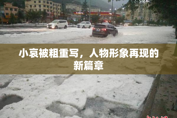 小哀被粗重写，人物形象再现的新篇章