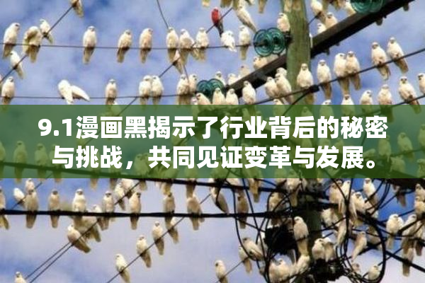 9.1漫画黑揭示了行业背后的秘密与挑战，共同见证变革与发展。