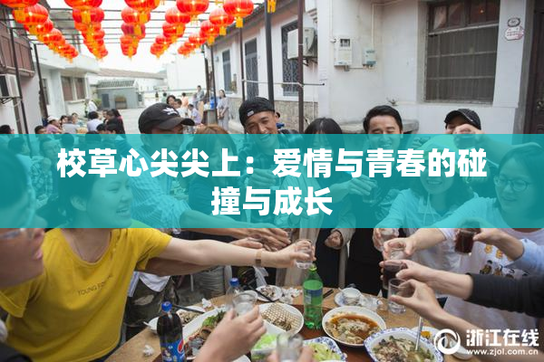 校草心尖尖上：爱情与青春的碰撞与成长