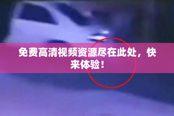 免费高清视频资源尽在此处，快来体验！