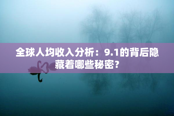 全球人均收入分析：9.1的背后隐藏着哪些秘密？