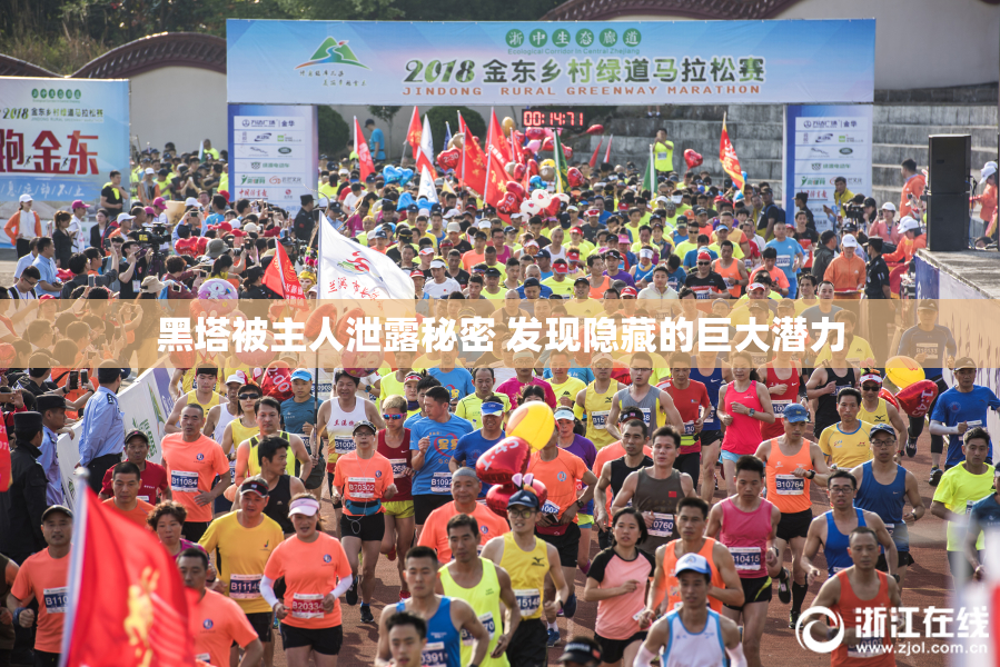 黑塔被主人泄露秘密 发现隐藏的巨大潜力