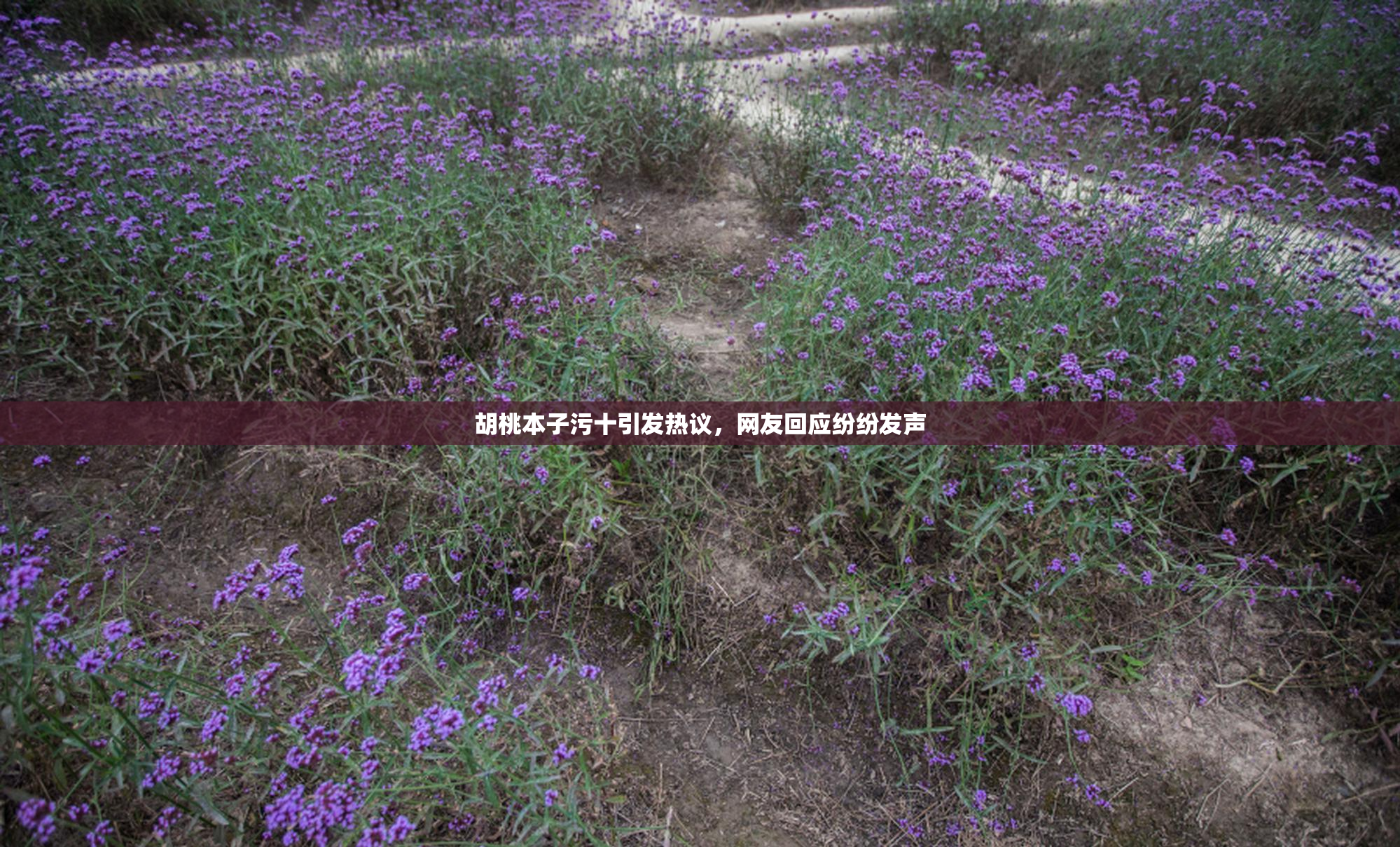 胡桃本子污十引发热议，网友回应纷纷发声
