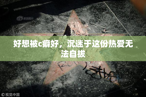 好想被c癖好，沉迷于这份热爱无法自拔