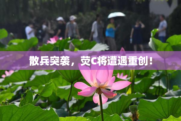 散兵突袭，荧C将遭遇重创！