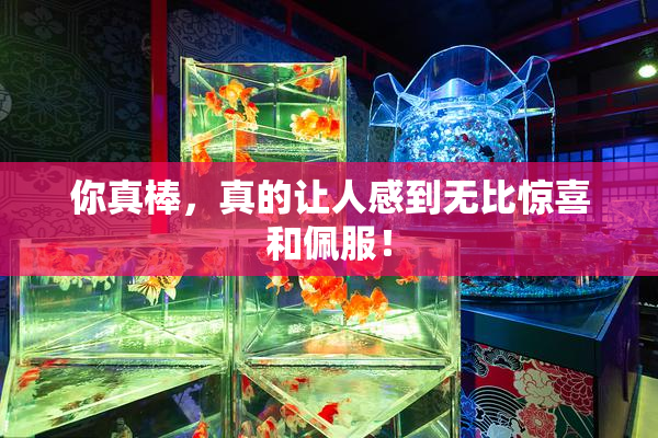 你真棒，真的让人感到无比惊喜和佩服！