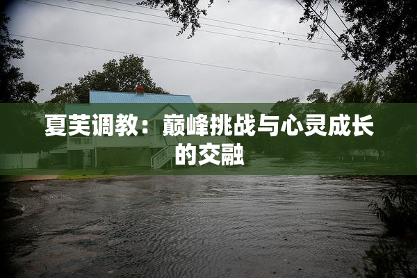 夏芙调教：巅峰挑战与心灵成长的交融