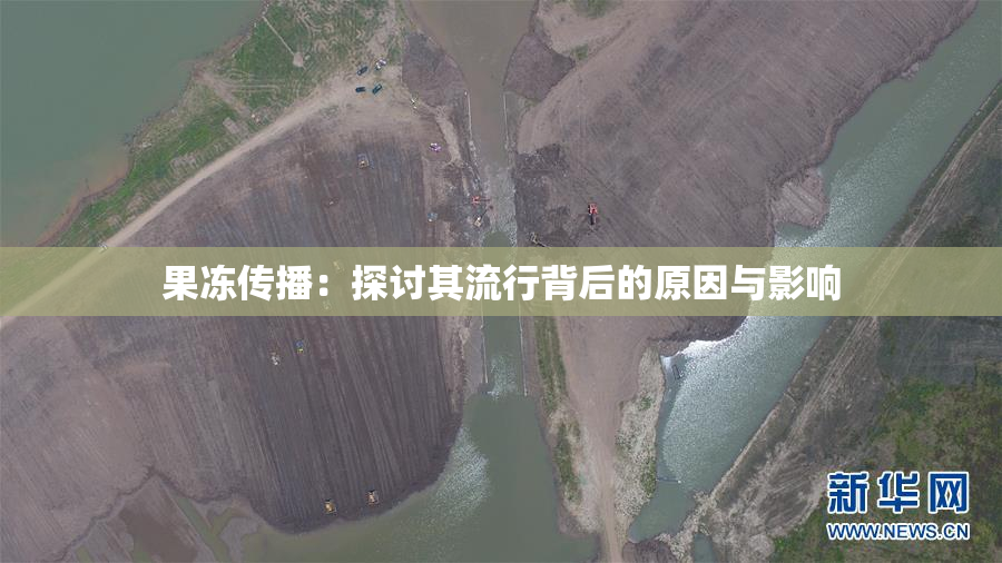 果冻传播：探讨其流行背后的原因与影响