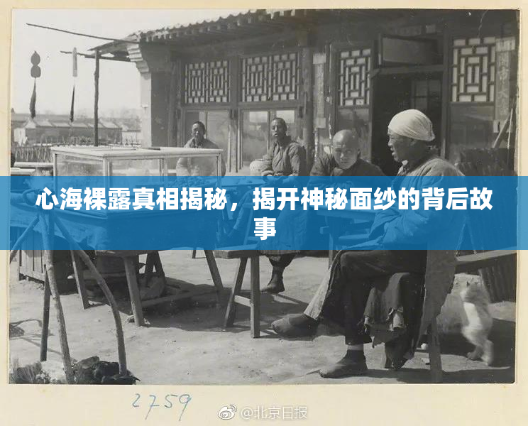 心海裸露真相揭秘，揭开神秘面纱的背后故事