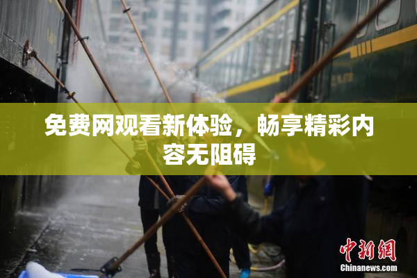 免费网观看新体验，畅享精彩内容无阻碍