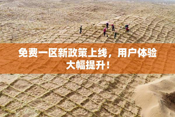 免费一区新政策上线，用户体验大幅提升！