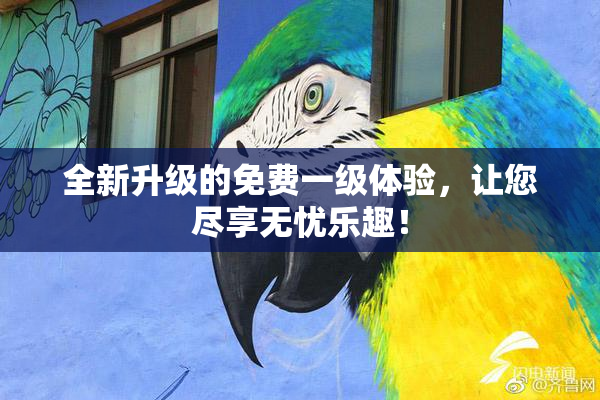 全新升级的免费一级体验，让您尽享无忧乐趣！