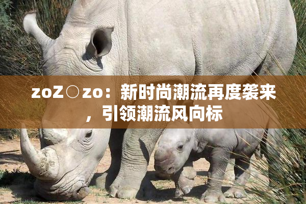 zoZ○zo：新时尚潮流再度袭来，引领潮流风向标