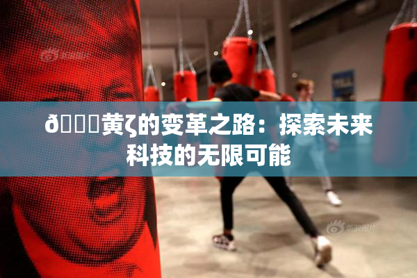🔞黄ζ的变革之路：探索未来科技的无限可能