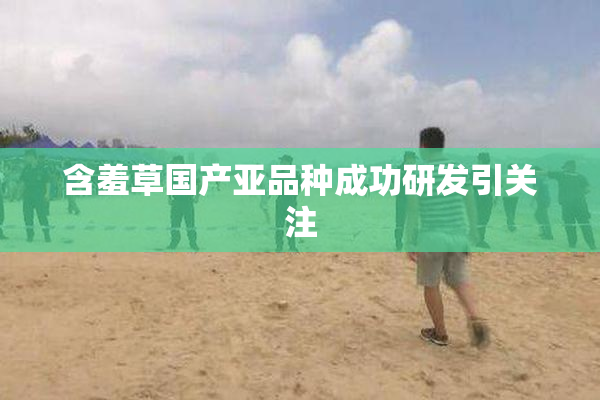 含羞草国产亚品种成功研发引关注