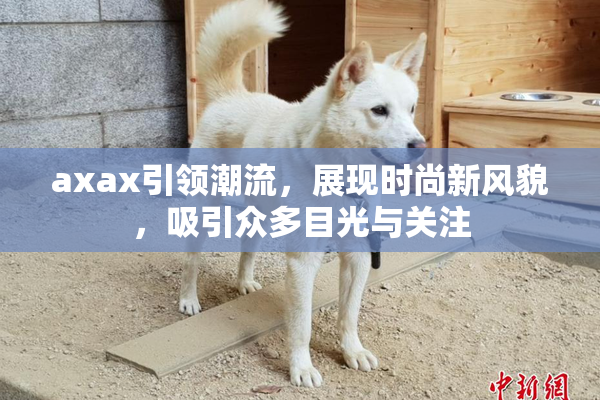 axax引领潮流，展现时尚新风貌，吸引众多目光与关注