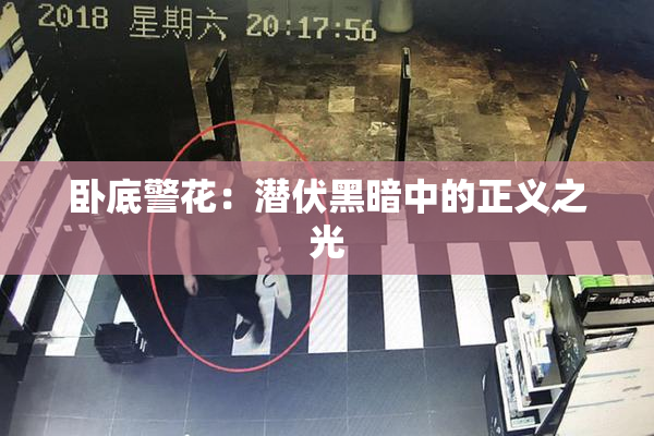 卧底警花：潜伏黑暗中的正义之光