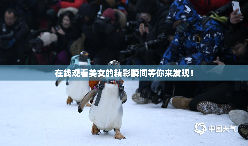 在线观看美女的精彩瞬间等你来发现！