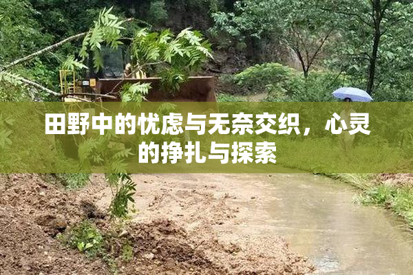田野中的忧虑与无奈交织，心灵的挣扎与探索