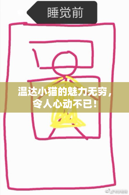温达小猫的魅力无穷，令人心动不已！