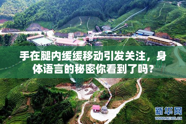 手在腿内缓缓移动引发关注，身体语言的秘密你看到了吗？