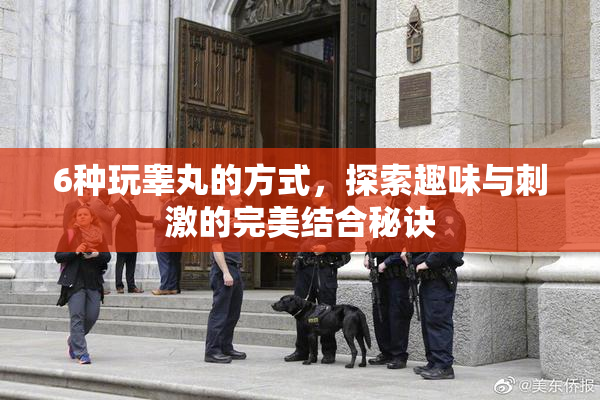 6种玩睾丸的方式，探索趣味与刺激的完美结合秘诀