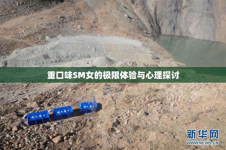 重口味SM女的极限体验与心理探讨