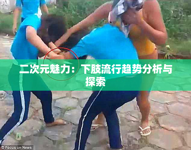 二次元魅力：下肢流行趋势分析与探索