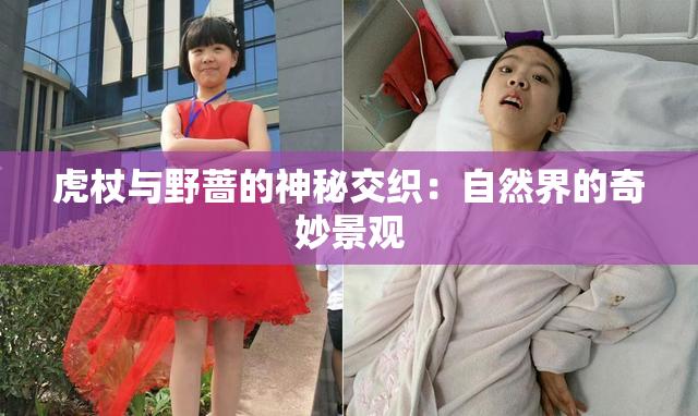虎杖与野蔷的神秘交织：自然界的奇妙景观