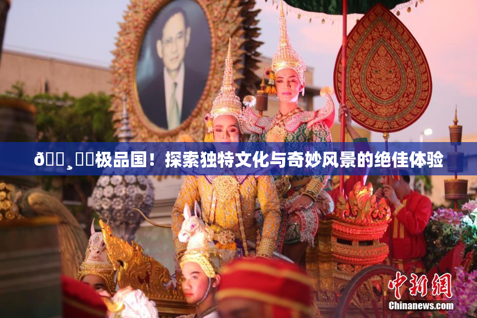 🌸‌✿极品国！探索独特文化与奇妙风景的绝佳体验