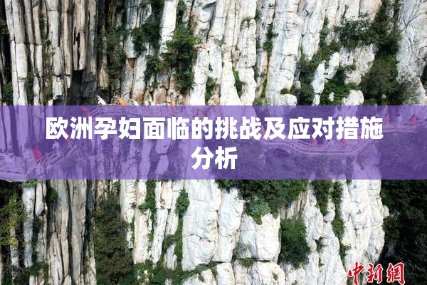 欧洲孕妇面临的挑战及应对措施分析