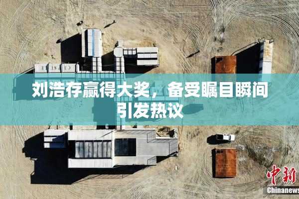 刘浩存赢得大奖，备受瞩目瞬间引发热议