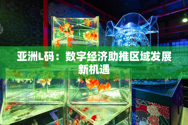 亚洲L码：数字经济助推区域发展新机遇