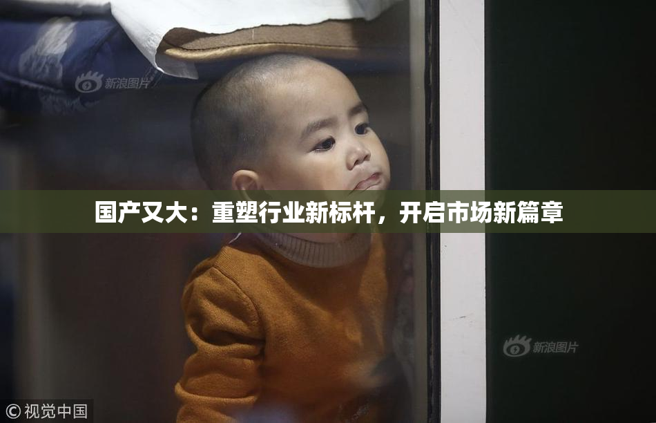 国产又大：重塑行业新标杆，开启市场新篇章