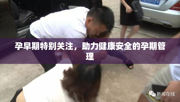 孕早期特别关注，助力健康安全的孕期管理
