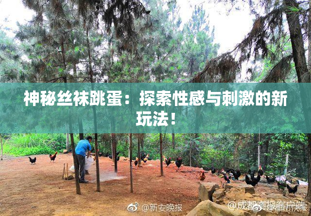 神秘丝袜跳蛋：探索性感与刺激的新玩法！