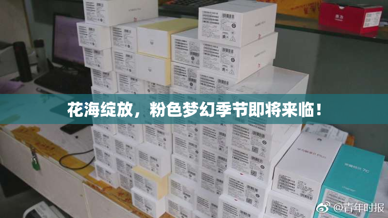 花海绽放，粉色梦幻季节即将来临！