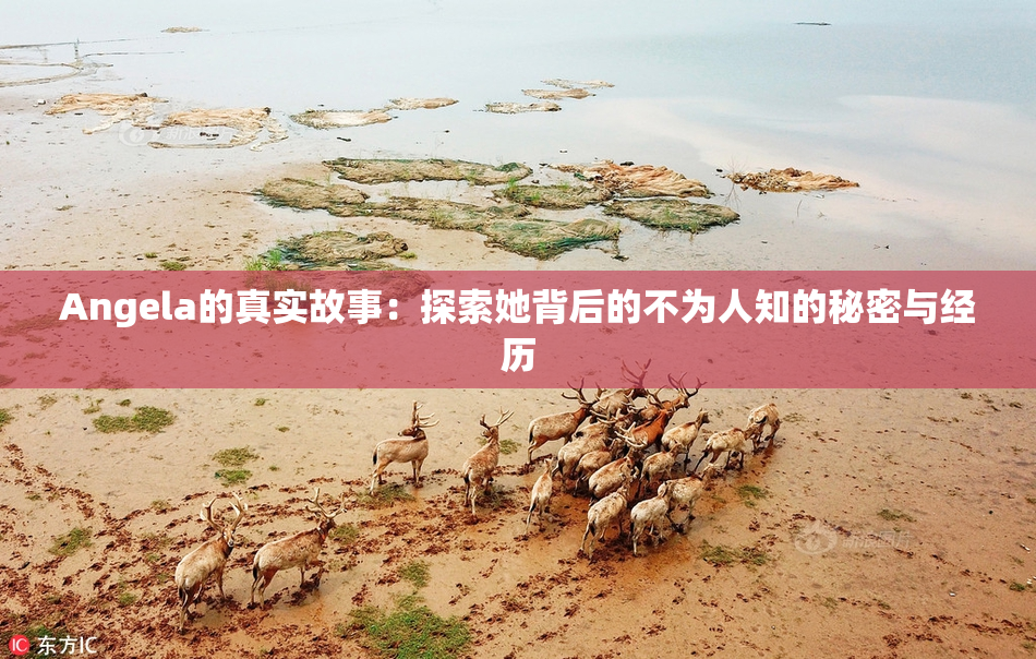 Angela的真实故事：探索她背后的不为人知的秘密与经历