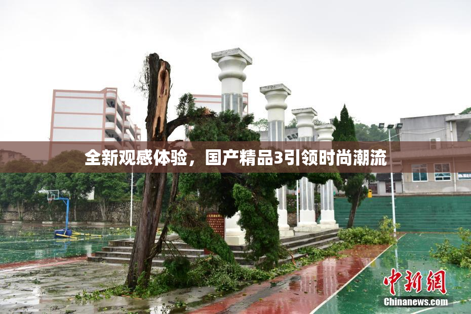 全新观感体验，国产精品3引领时尚潮流