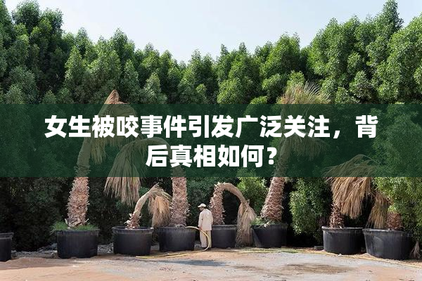 女生被咬事件引发广泛关注，背后真相如何？