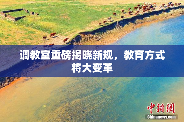 调教室重磅揭晓新规，教育方式将大变革
