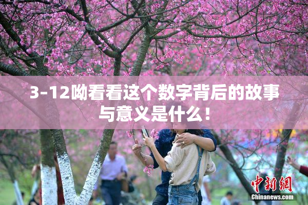 3–12呦看看这个数字背后的故事与意义是什么！