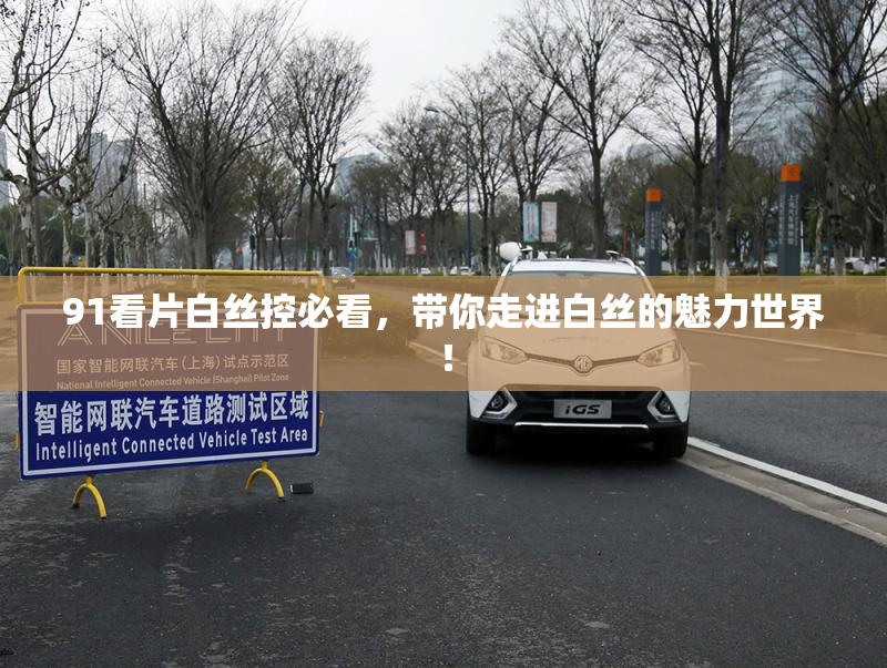 91看片白丝控必看，带你走进白丝的魅力世界！