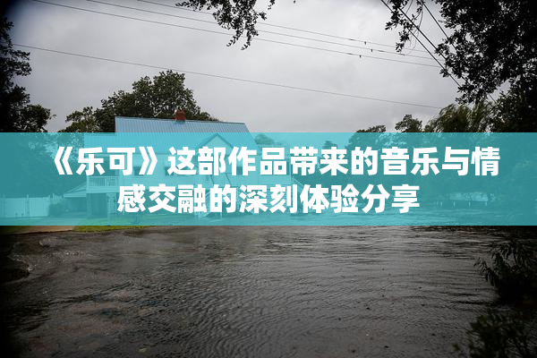 《乐可》这部作品带来的音乐与情感交融的深刻体验分享