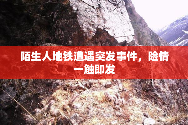 陌生人地铁遭遇突发事件，险情一触即发