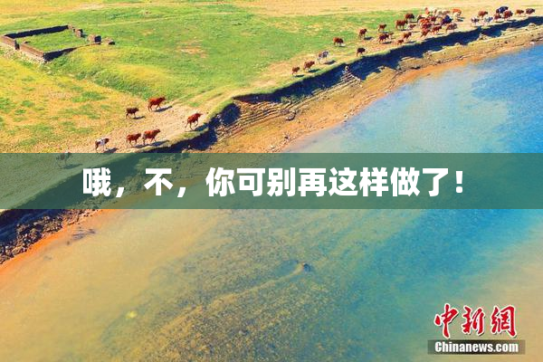 哦，不，你可别再这样做了！