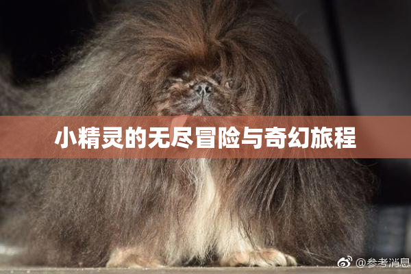 小精灵的无尽冒险与奇幻旅程