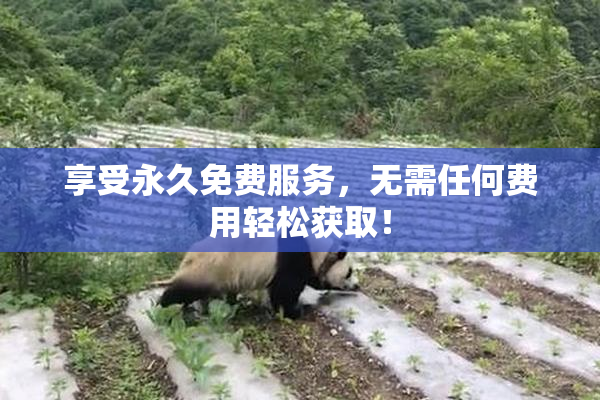 享受永久免费服务，无需任何费用轻松获取！